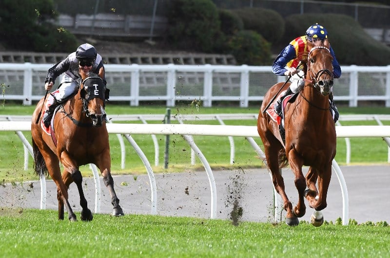 2019 Group One Moir Stakes Best Bet & Tips