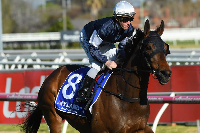 2019 Underwood Stakes Best bet & Tips