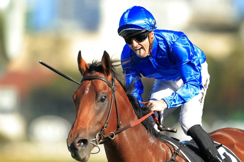 Bivouac assumes his Golden Rose favouritism
