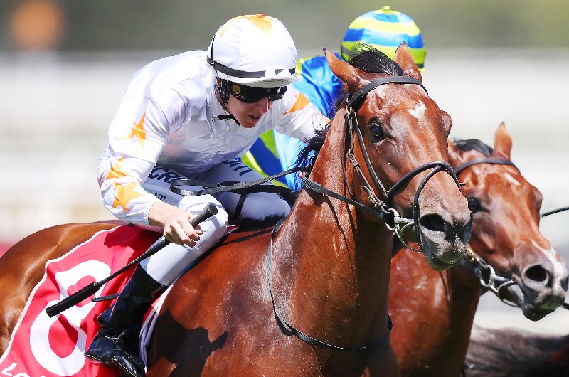 Empire Rose Stakes the aim for Loving Gaby