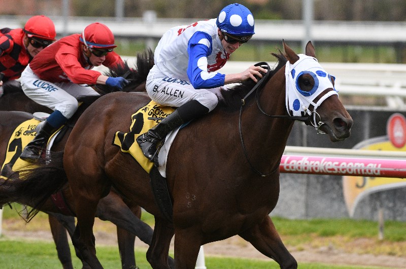 Mr Quickie gets a look at Valley in gallop