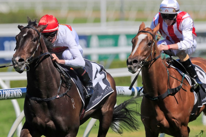 Yao Dash is likely for Group One Golden Rose