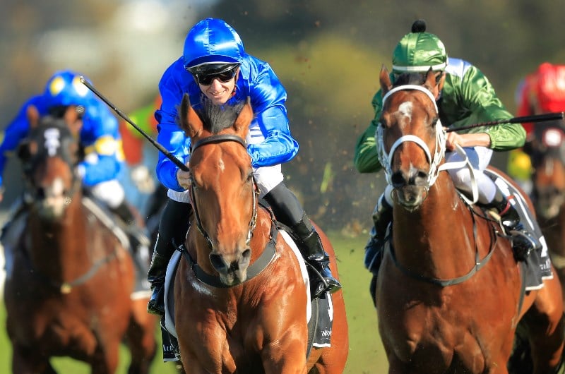 Bivouac to stake claim as the best colt