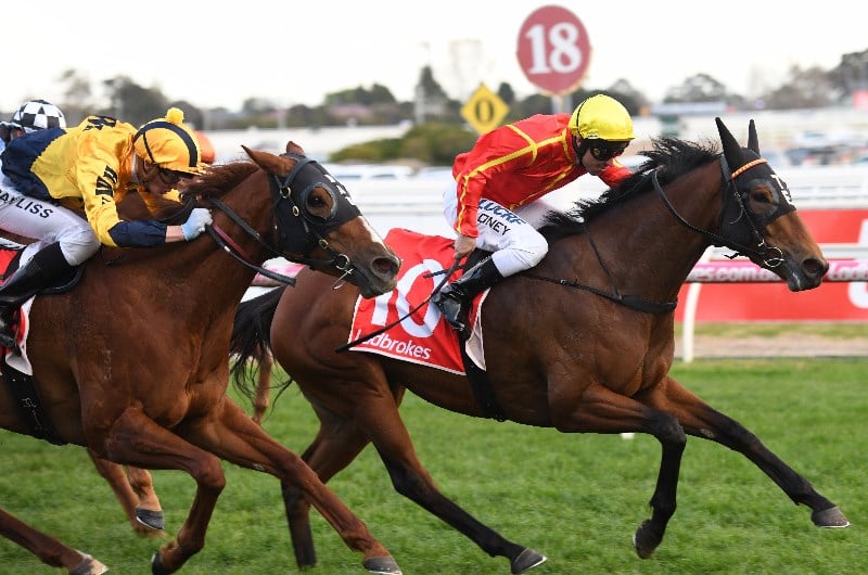 Winter Bride in order for her G1 Moir assault