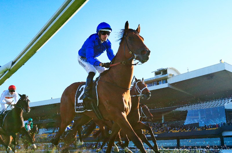 Bowman wins his fifth Golden Rose with Bivouac