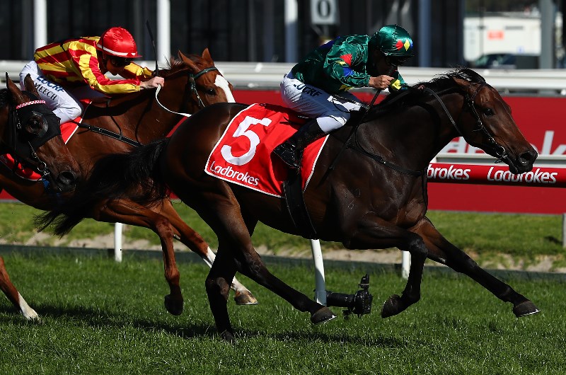 Horse Racing