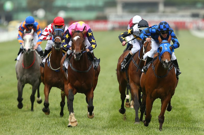 Kalgoorlie Tips - Thursday, October 3