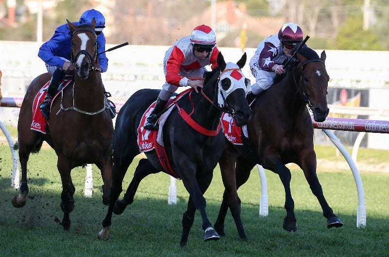 Mystic Journey draws nine in the G1 Turnbull