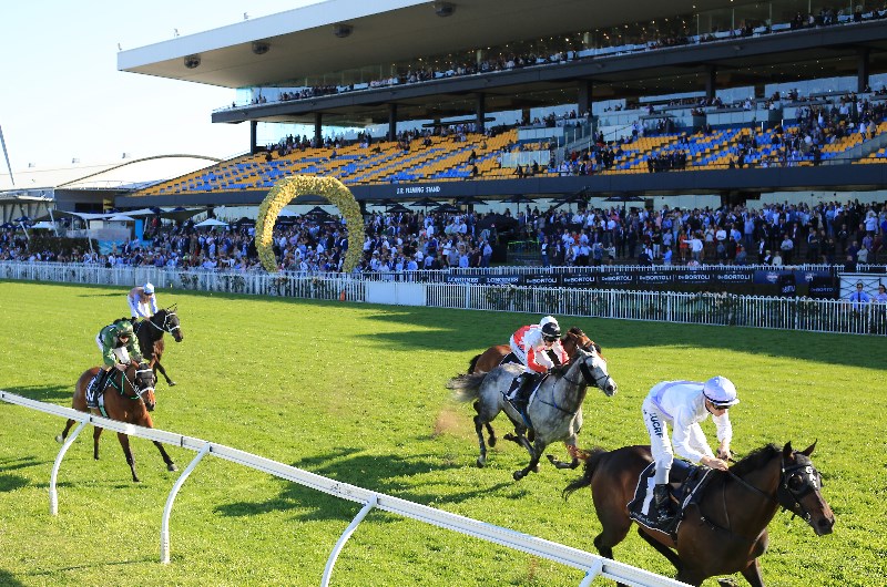 Rosehill Rosehill