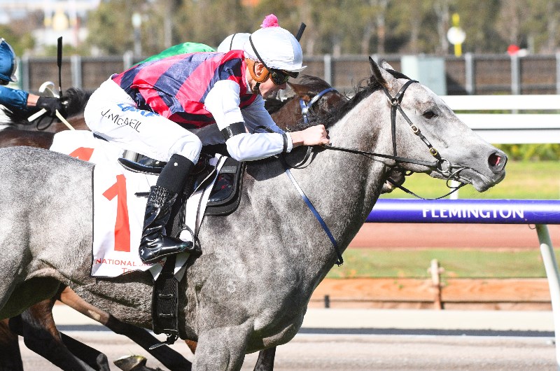 2019 Turnbull Stakes Day Tips & Best Bets
