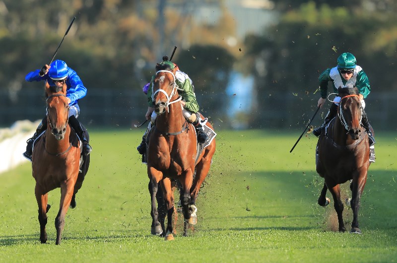 Dubbo Tips For Friday, October 4