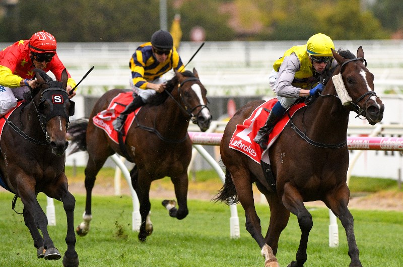 Moonee Valley Preview, Tips & Best Bets