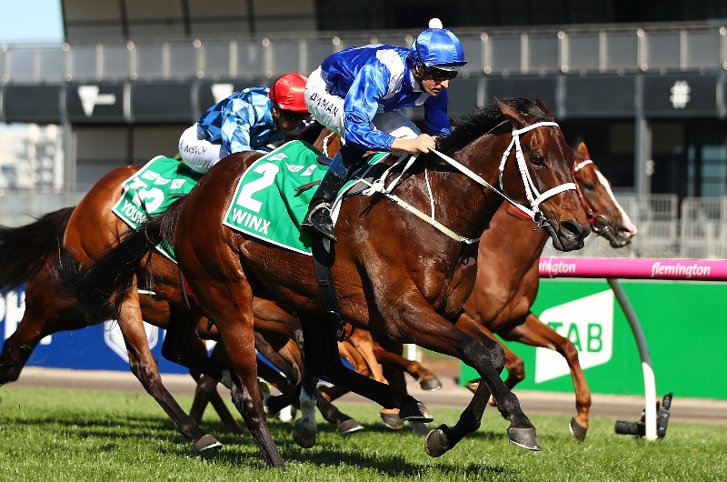 Facts and figures on the G1 Turnbull Stakes - Your Need To Know
