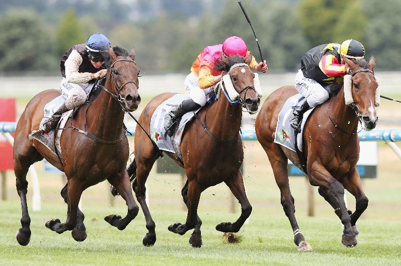 Northam tips for Sunday, October 6