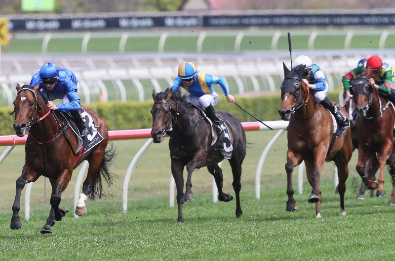 Goulburn tips for Tuesday, October 8