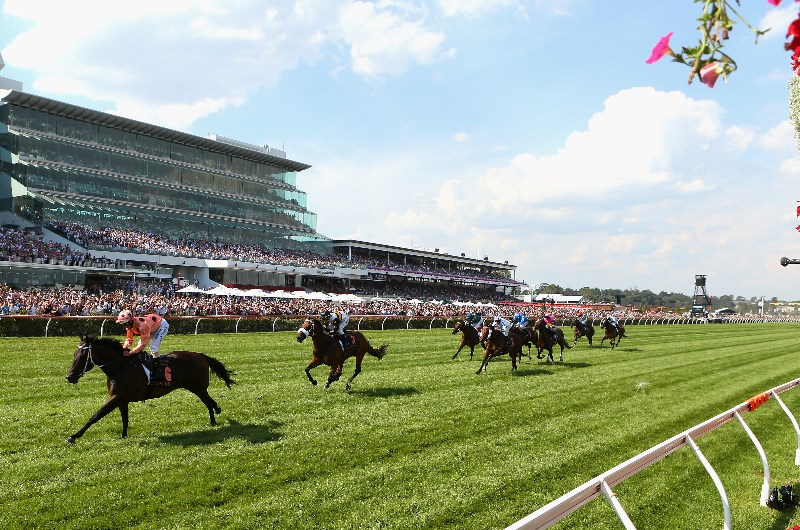 best racehorses, undefeated - October 7