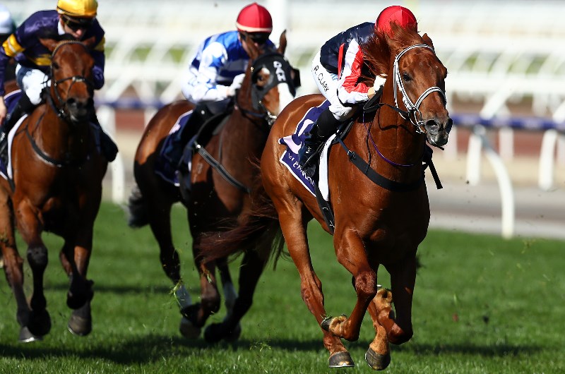 2019 Caulfield Guineas Tips & Best Bet