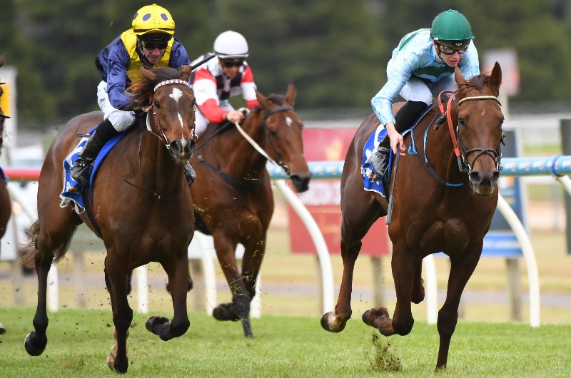Bunbury Tips for Wednesday, October 9