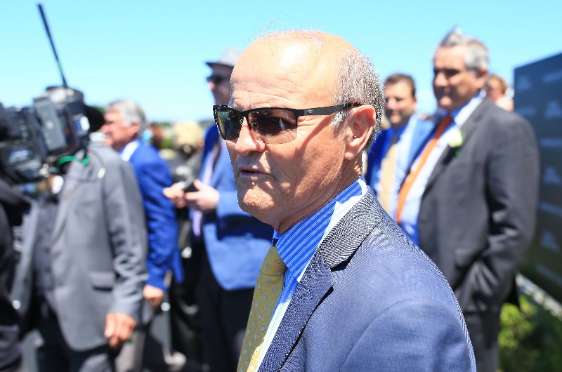 David Payne Randwick