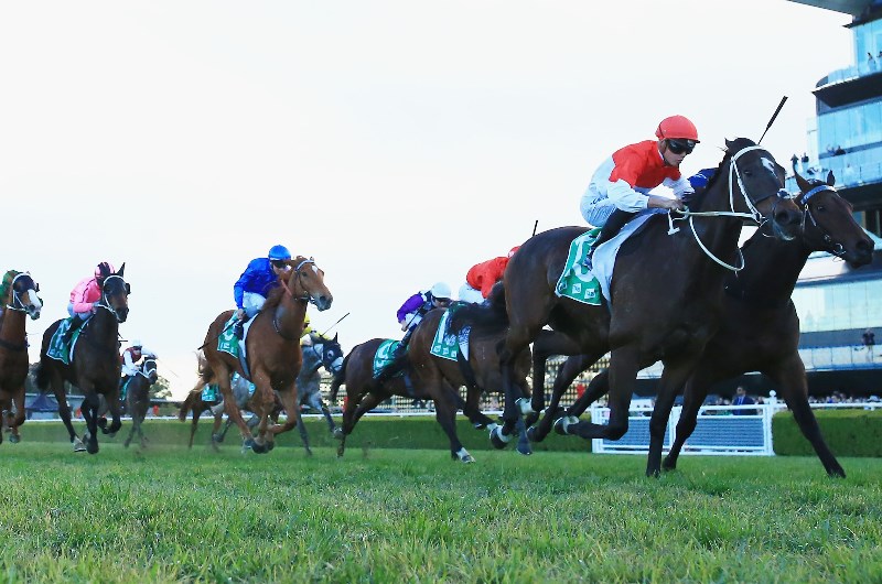 Ipswich Tips for Wednesday, October 9