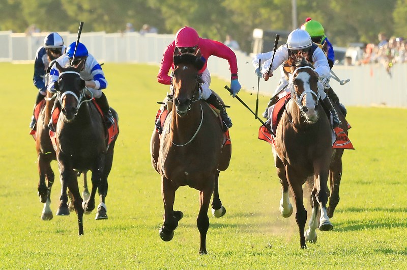 Kensington tips for Wednesday, October 9