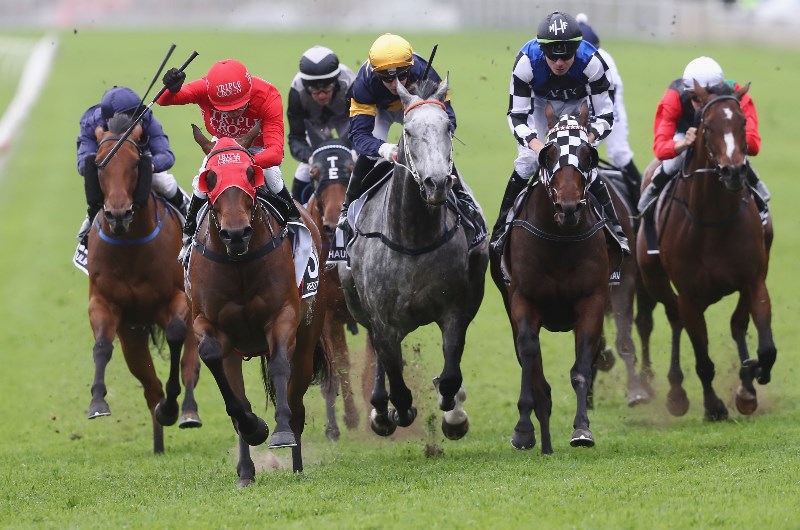 The Everest Futures Tips for October 19