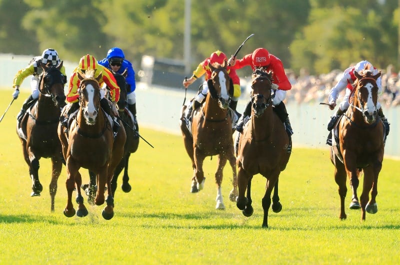 Gunnedah tips for Thursday, October 10