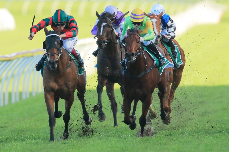 Wyong Tips for Thursday, October 10