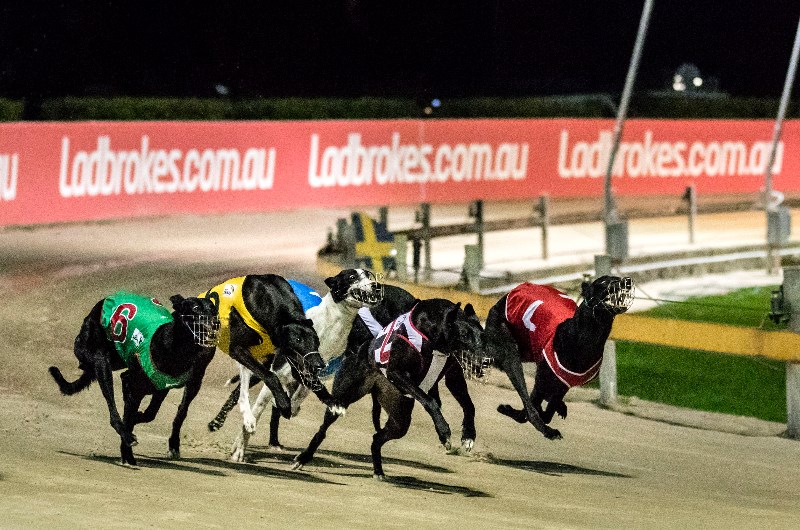 Live sky sales racing stream