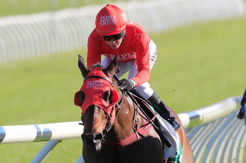Redzel
