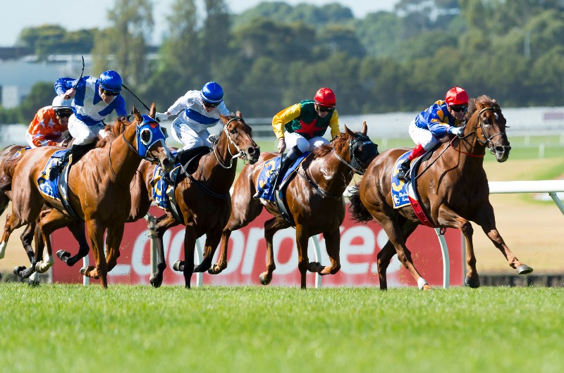 Northam Tips for Thursday, October 17