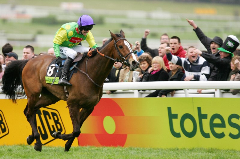 Group One Wins Which Horses Has