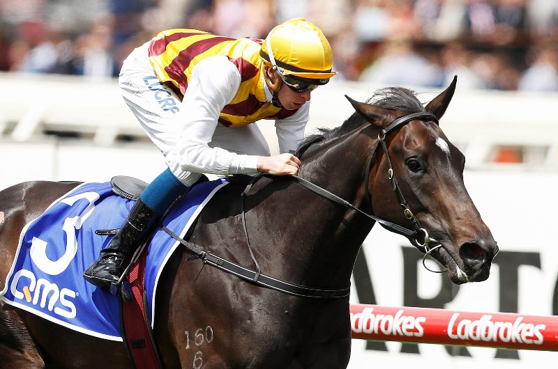 second image for Odds Protector Bet365 article second image for Odds Protector Bet365 article