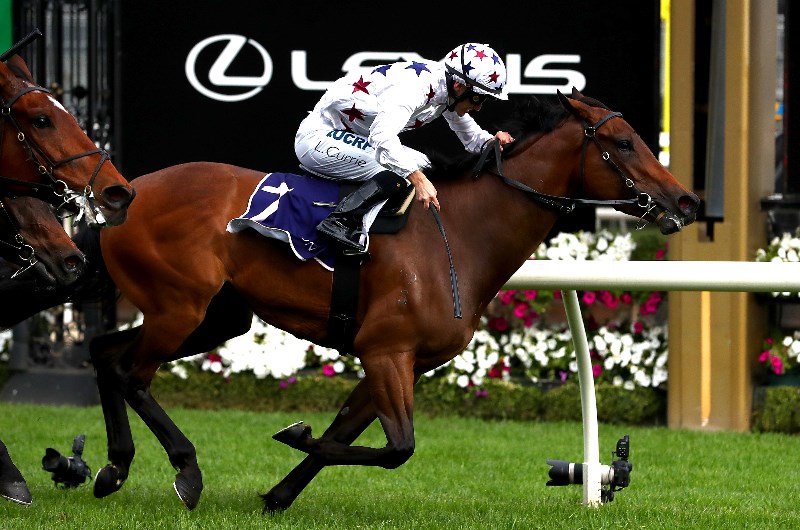 Sunlight Flemington