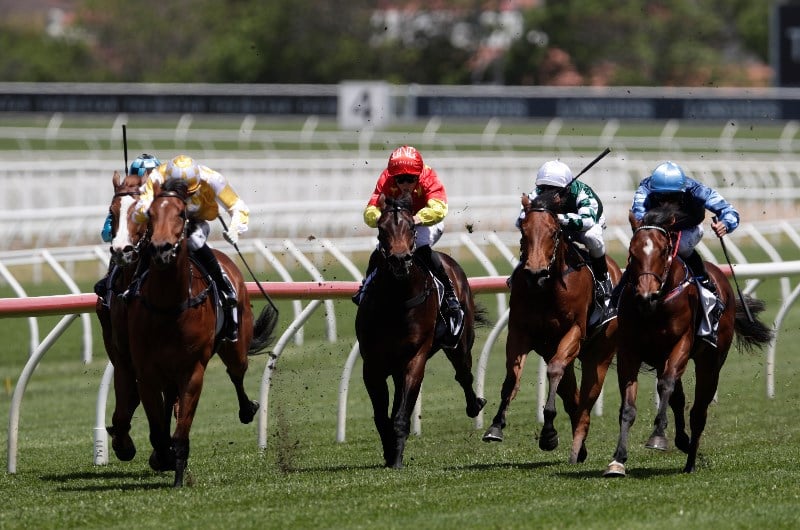 Randwick Blackbook from Saturday, October 26