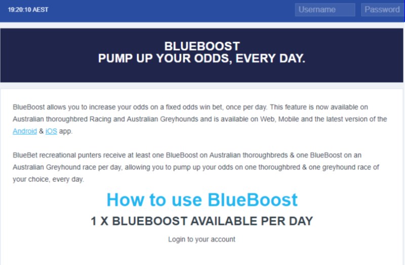 Bluebet BlueBoost Bluebet BlueBoost