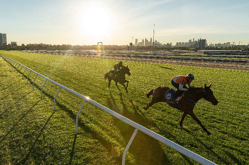 Wide draw for Melody Belle in the Empire Rose