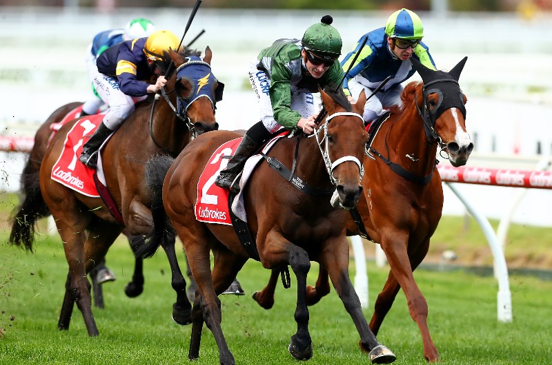 2019 Melbourne Cup day racing tips
