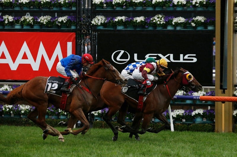 Horses For The Blackbook From Derby Day 2019