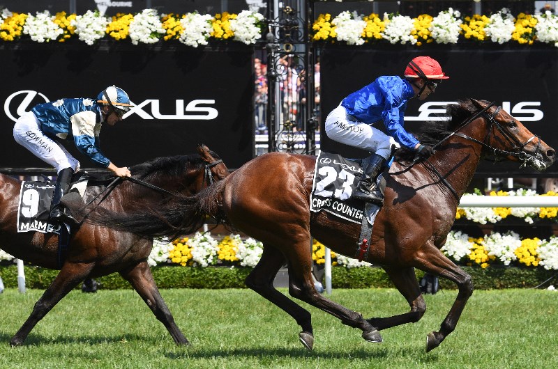 2019 Melbourne Cup Trifecta Selections