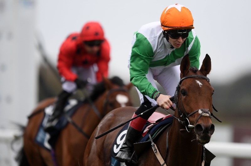2019 Mackinnon Stakes Day Racing Tips