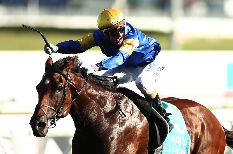 2019 VRC Sprint Racing Tips