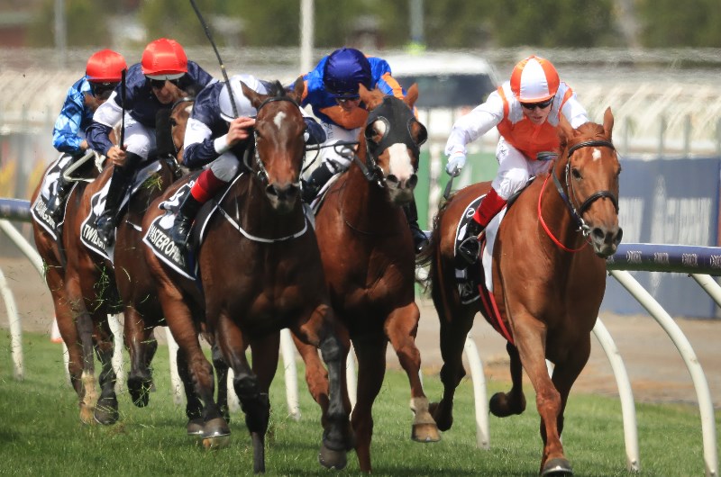 Vow And Declare comes through his Cup win well