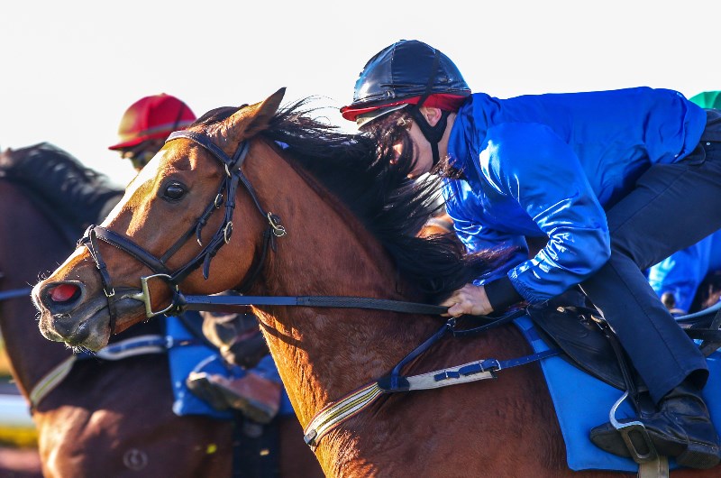 Hartnell is ready for one more Group 1 fling