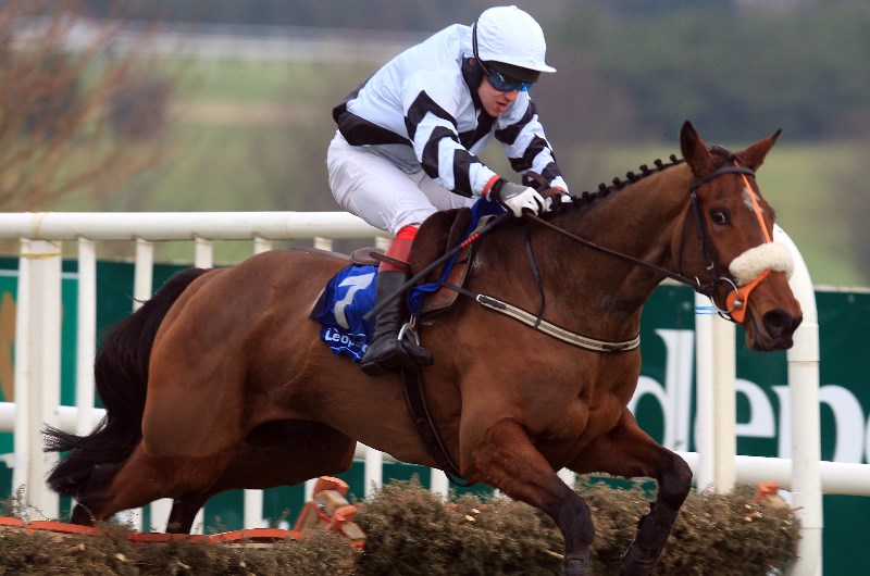 Mares Novice Hurdle