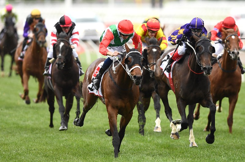 Moe Racing Tips For November 10
