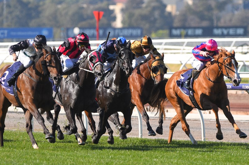 Morphettville Racing Tips For November 9