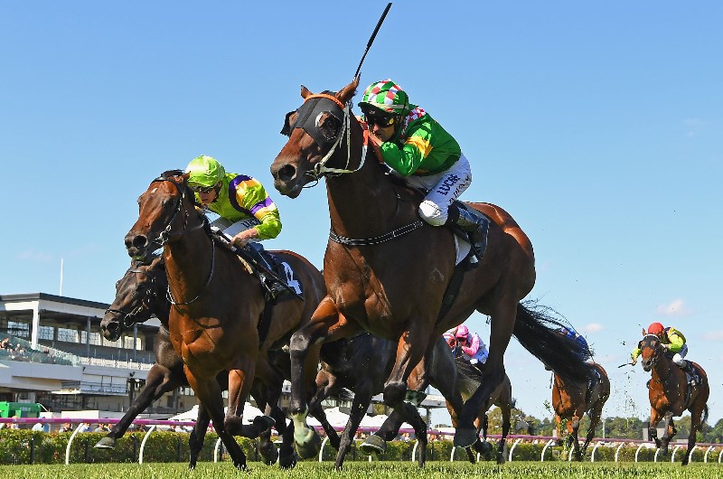 Ascot Racing Tips for 09.11.2019