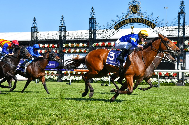 Big Bets for 09.11.2019