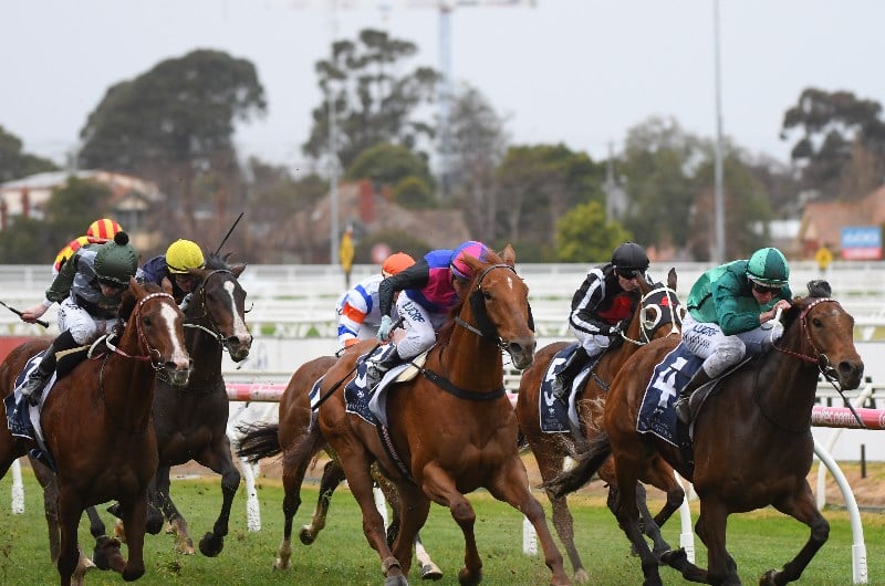 2019 Zipping Classic Tips